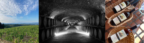 Castello di Monsanto and tunnel cellars in Chianti Classico